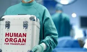 دانشمندان تلاش می‌کنند تا اندام‌های تقریباً مرده را احیا کنند، اما چرا؟