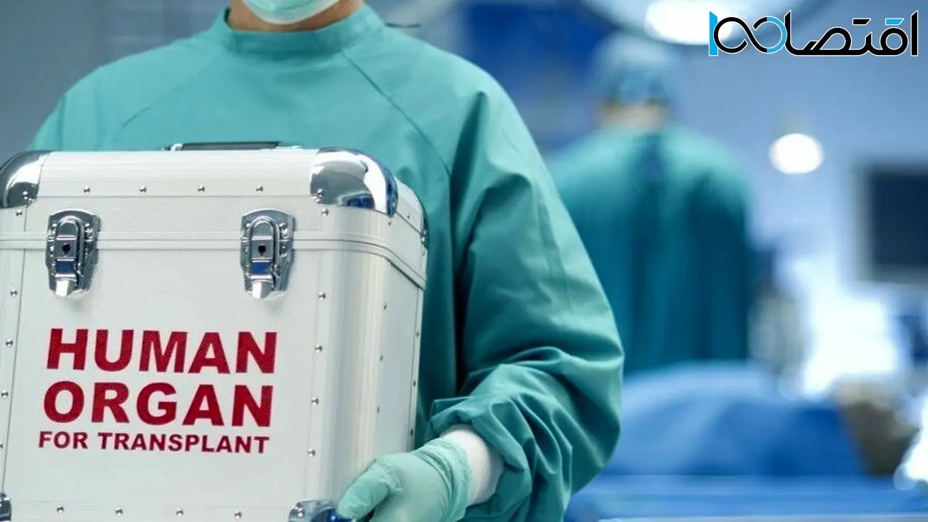 دانشمندان تلاش میکنند تا اندامهای تقریباً مرده را احیا کنند، اما چرا؟