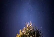 قابلیت عکاسی نجومی برای سری گلکسی S21 فعال شد