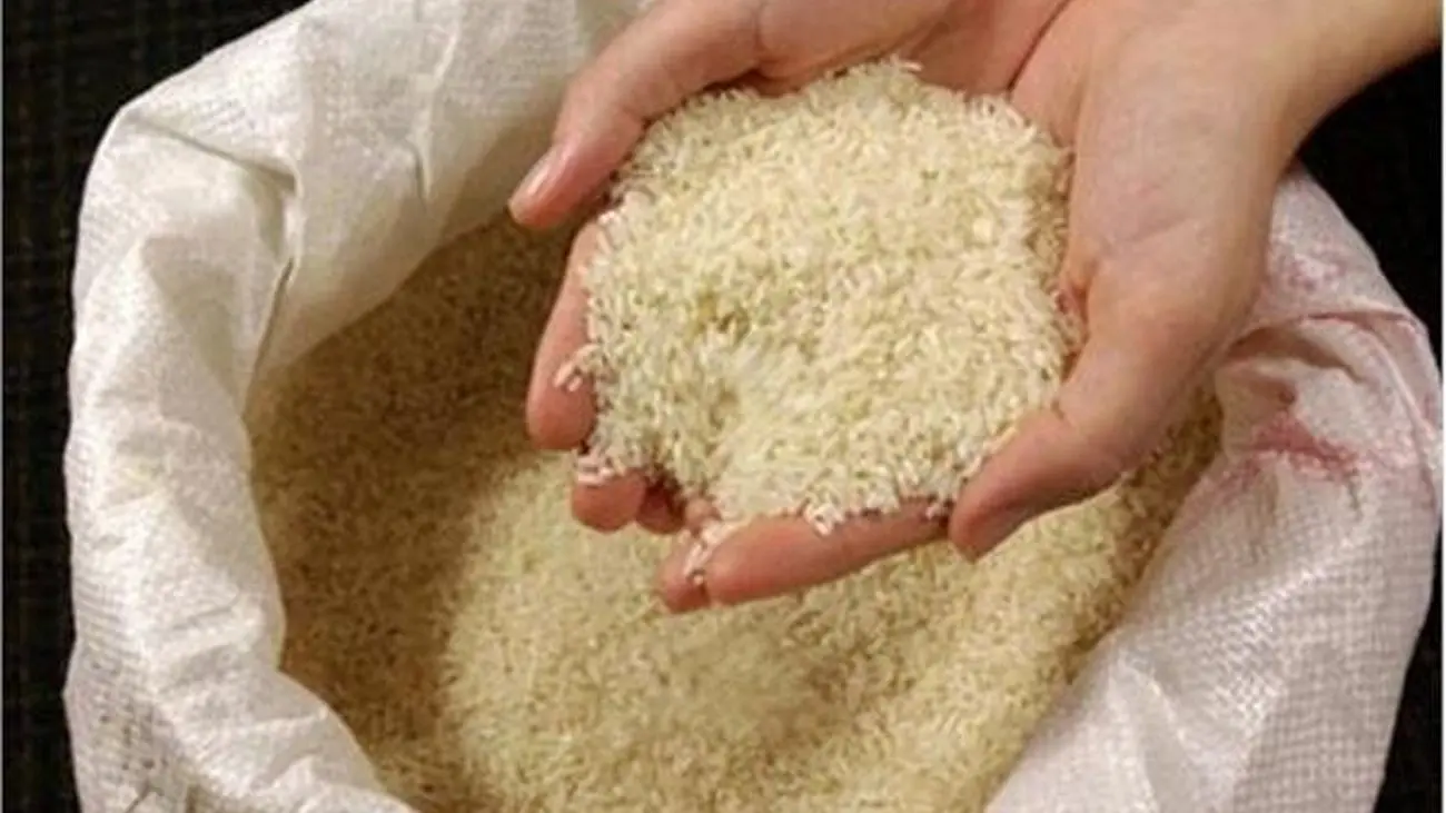 برنج ایرانی بازهم گران‌تر می‌شود؟
