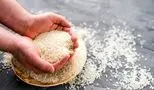 افزایش دیوانه‌وار قیمت برنج ایرانی؛ گران‌تر از همیشه!