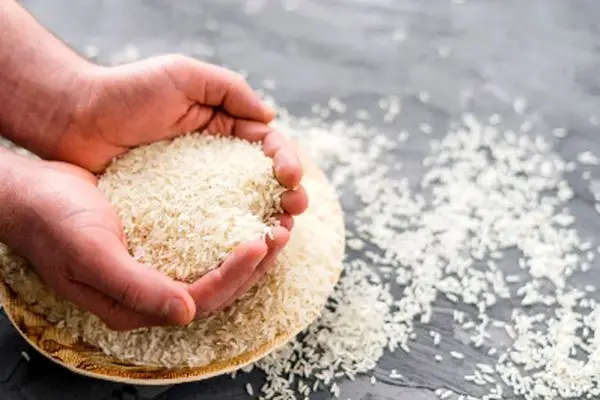 افزایش دیوانه‌وار قیمت برنج ایرانی؛ گران‌تر از همیشه!