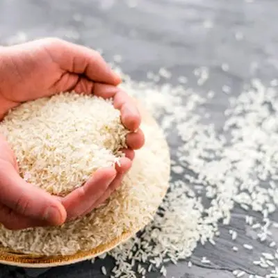 افزایش دیوانه‌وار قیمت برنج ایرانی؛ گران‌تر از همیشه!