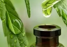 تولید و فرآوری گیاهان دارویی با نوآوری‌ افزایش می‌یابد