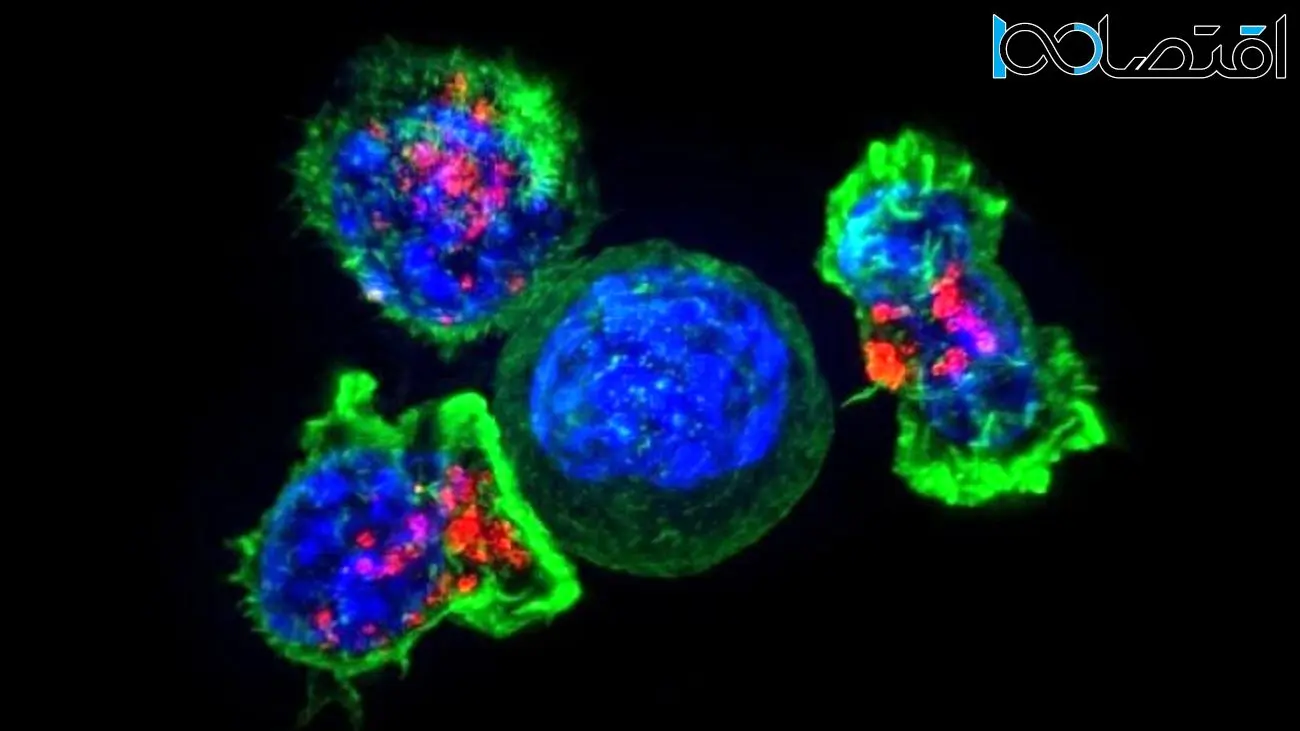 دانشمندان عاملی جدید در انتشار سلول‌های سرطانی کشف کردند