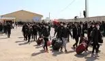 دولت تضمین داد/ هیچ افغانستانی اخراج نمی‌شود!