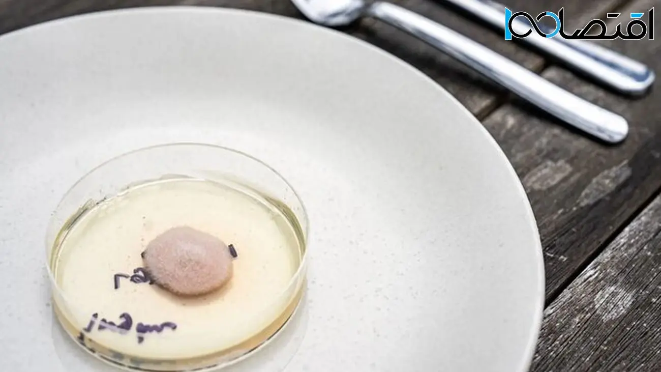 دانشمندان ژنوم قارچ‌ را برای تولید گوشت هک کردند