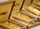فروش شمش طلا رکورد زد/ ۳۱۹ کیلو طلا فروخته شد
