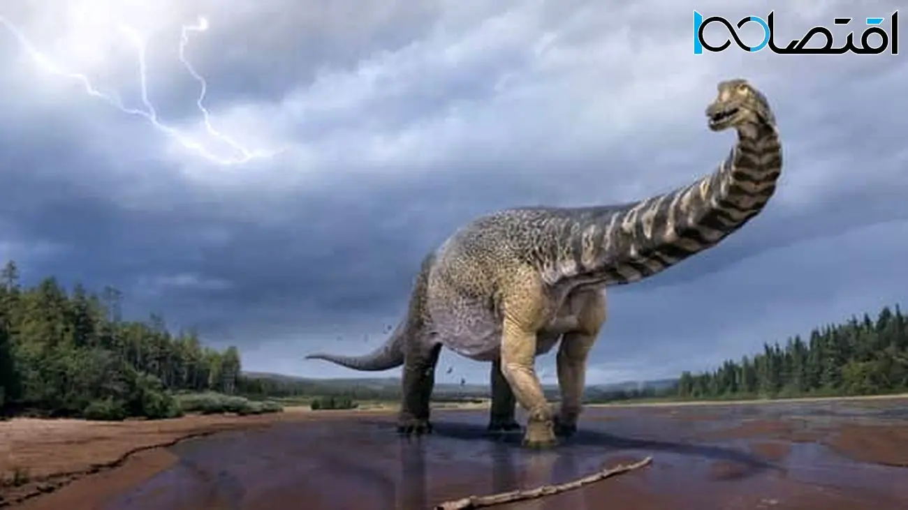 سنگ زینتی ۱۷۵ ساله، یک تخم دایناسور با سن ۶۰ میلیون سال از آب درآمد!