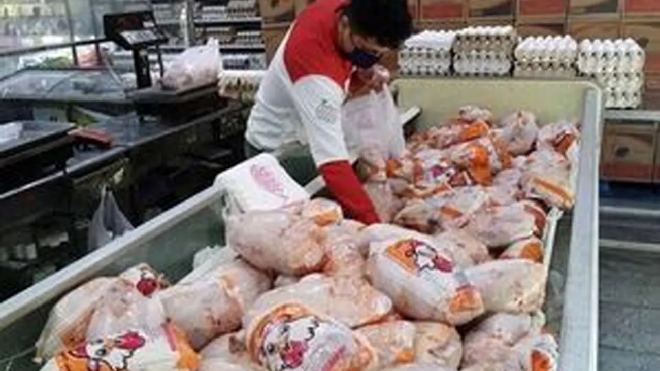 قیمت مرغ در بازار افزایش یافت + جدول 
