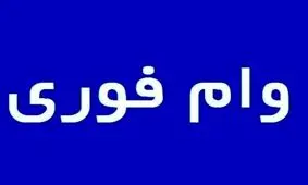  وام 300 میلیونی برای این افراد / بدون ضامن با اقساط بلند مدت + شرایط دریافت 
