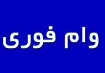  وام 300 میلیونی برای این افراد / بدون ضامن با اقساط بلند مدت + شرایط دریافت 
