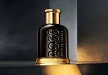 این عطر چهارفصل پر رمز و راز ویژه مردان خوش تیپ است
