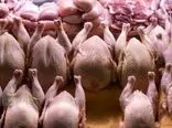 قیمت مرغ زنده در بازار کیلویی چند؟/ کمبود مرغ در بازار نیست 