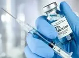 واکسن مقاوم در برابر تمام گونه‌های آنفلوانزا احتمالاً تا دو سال دیگر از راه می‌رسد
