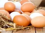 جدیدترین قیمت تخم مرغ در بازار / شانه ای چند ؟!