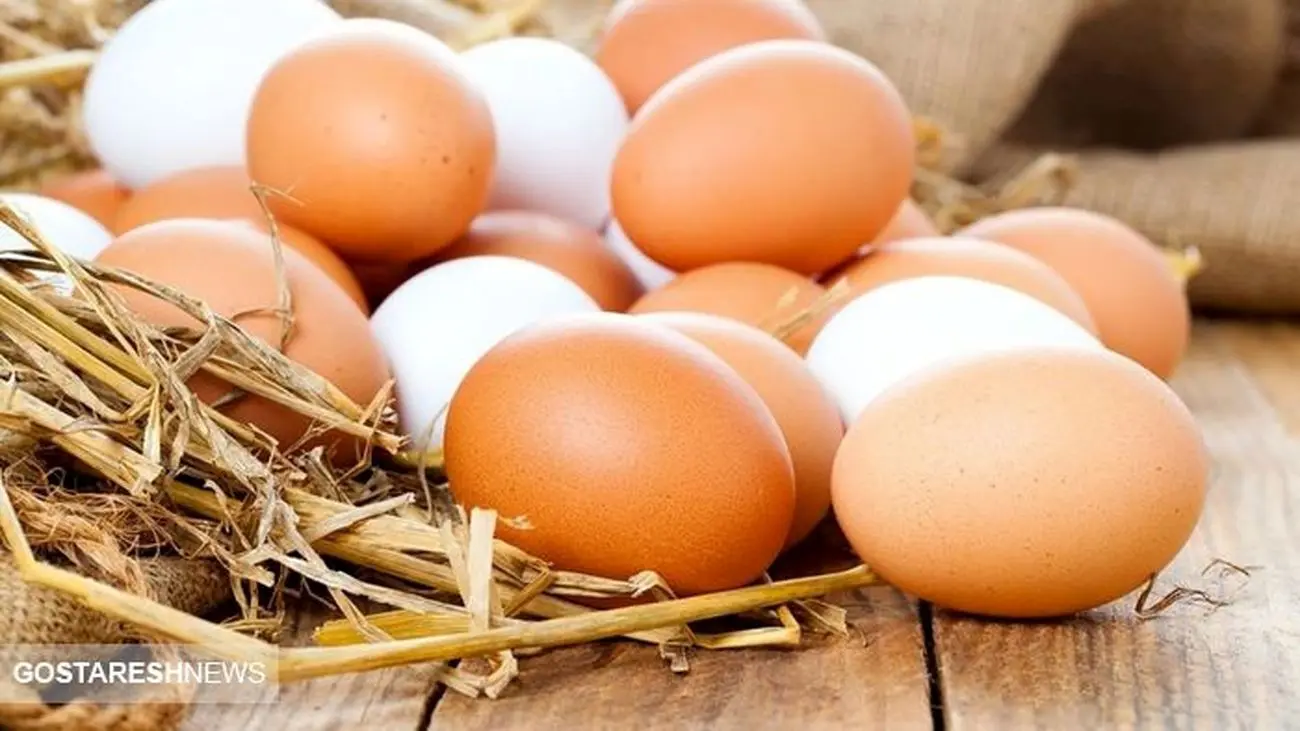 جدیدترین قیمت تخم مرغ در بازار / شانه ای چند ؟!