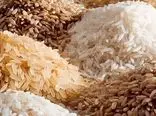 اعتراف دولت به افزایش نجومی واردات برنج