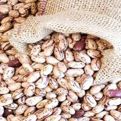 آیا قیمت نیم میلیونی لوبیا چیتی قانونی است؟/ کشف نرخ واقعی!