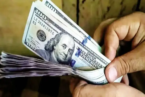 خانم سخنگو راز تغییرات قیمت دلار را فاش کرد!