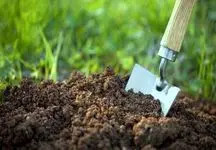 پشت پرده تذکر به واردکنندگان سموم و کود چیست؟