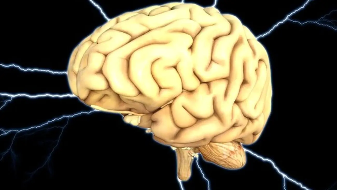 توسعه رایانه‌هایی با شباهت بیشتر به عملکرد مغز انسان
