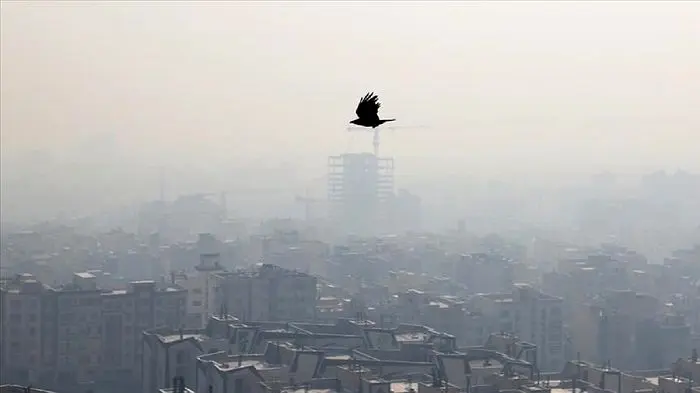 برای آلودگی هوا چه کنیم