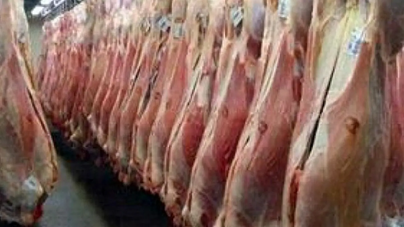 پیش بینی وزارت جهاد از قیمت گوشت قرمز قابل تحقق است؟
