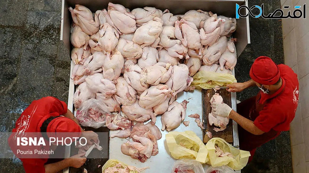 آخرین قیمت مرغ در بازار تهران