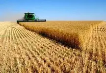 غلات مانده روی دست روسیه نصیب ایران می شود/ شعار خودکفایی در مقابل روسیه فراموش شد