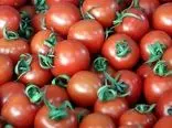 اعتراض به ارزان شدن گوجه فرنگی و پیاز در کشور!