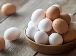 افزایش قیمت هر شانه تخم مرغ در بازار