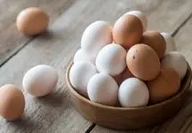 افزایش قیمت هر شانه تخم مرغ در بازار