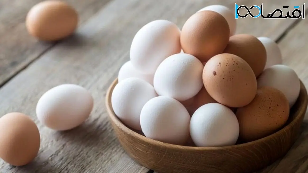افزایش قیمت هر شانه تخم مرغ در بازار