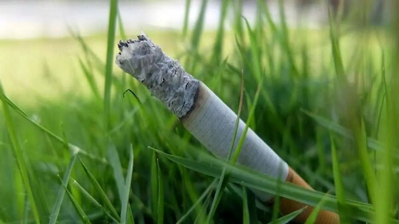 شرکتهای خارجی در قاچاق سیگار خیابان مولوی
