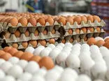  افزایش عجیب قیمت تخم مرغ در بازار
