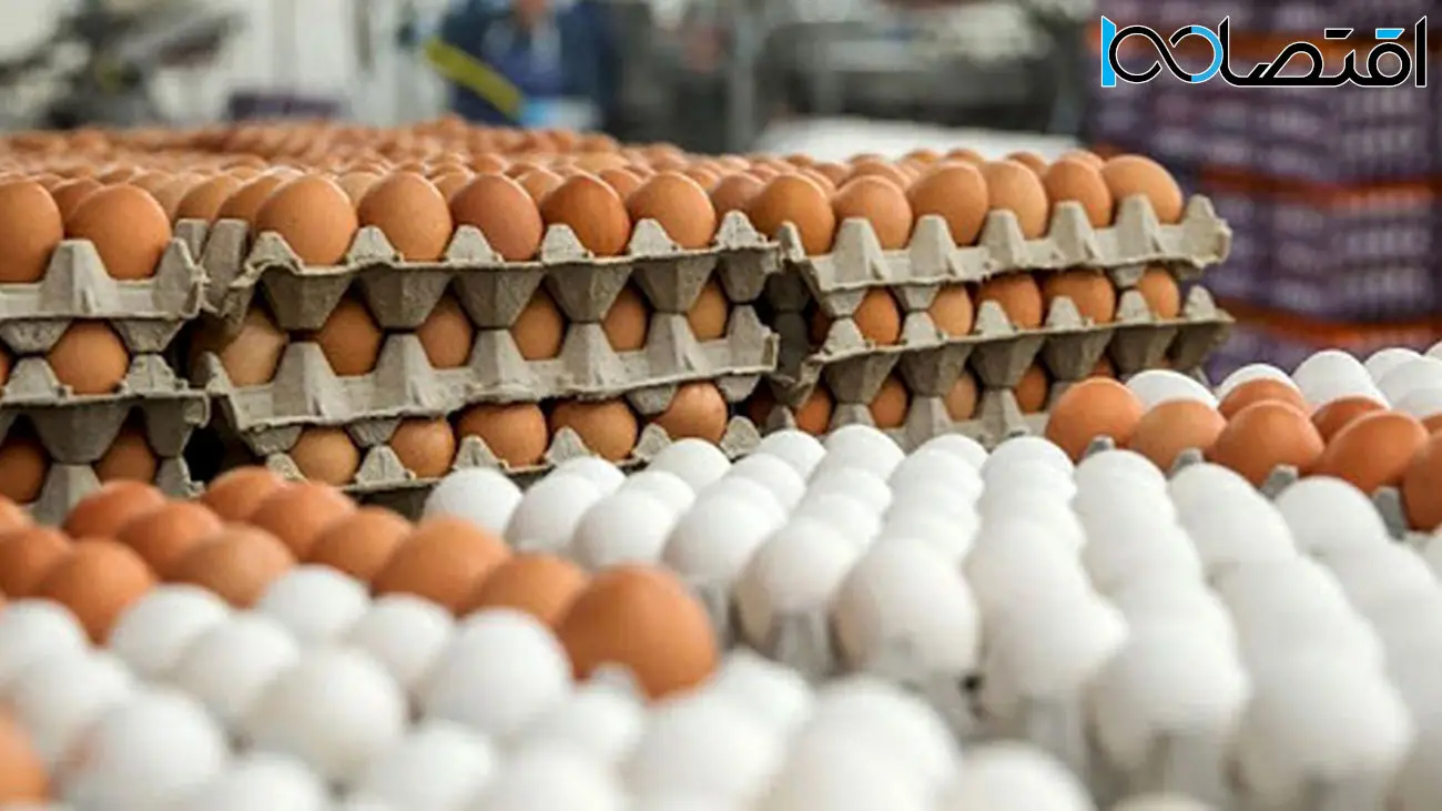  افزایش عجیب قیمت تخم مرغ در بازار