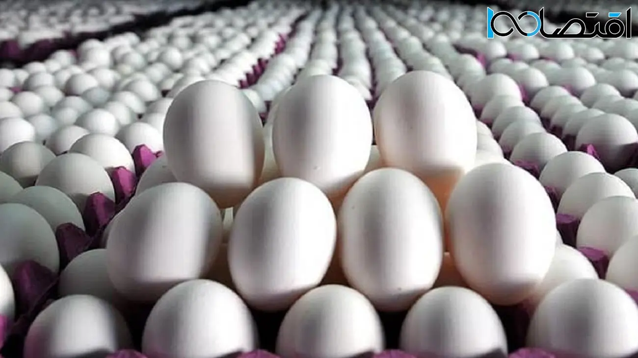 رد پای خرده فروشی ها در معمای گرانی تخم مرغ /  تولیدکنندگان: مجازیم ۱۰ درصد گران‌تر بفروشیم