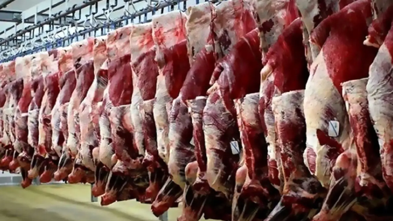 جدیدترین قیمت گوشت گوسفندی و گوساله در بازار / هر کیلو شقه چند؟!