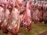 توزیع روزانه ۲۵۰ تن گوشت گرم در بازار