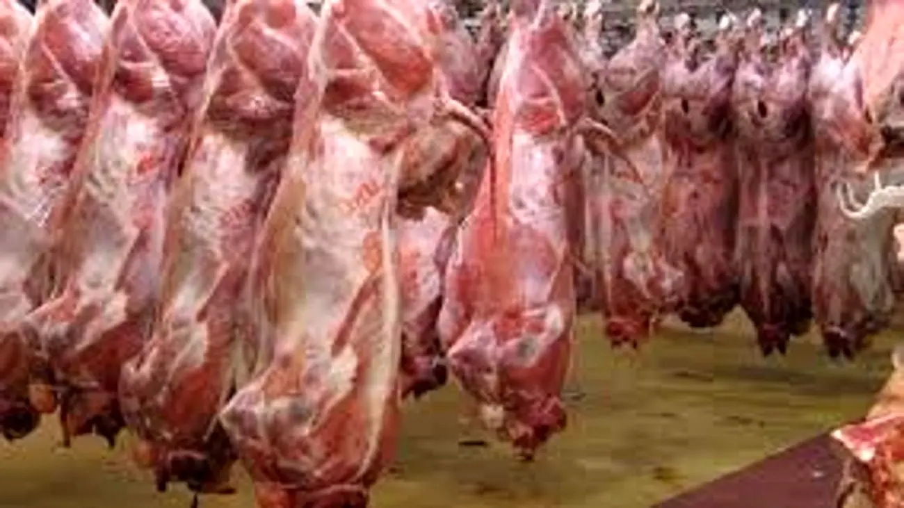 توزیع روزانه ۲۵۰ تن گوشت گرم در بازار