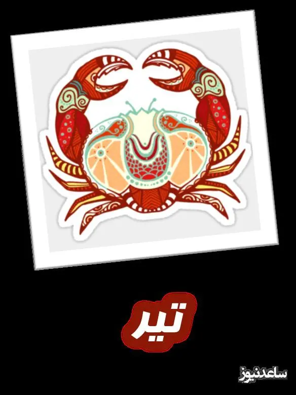 تیر