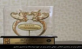 نشان برتر اجلاس جهانی نشان برتر در حوزه برندینگ و مشتری مداری