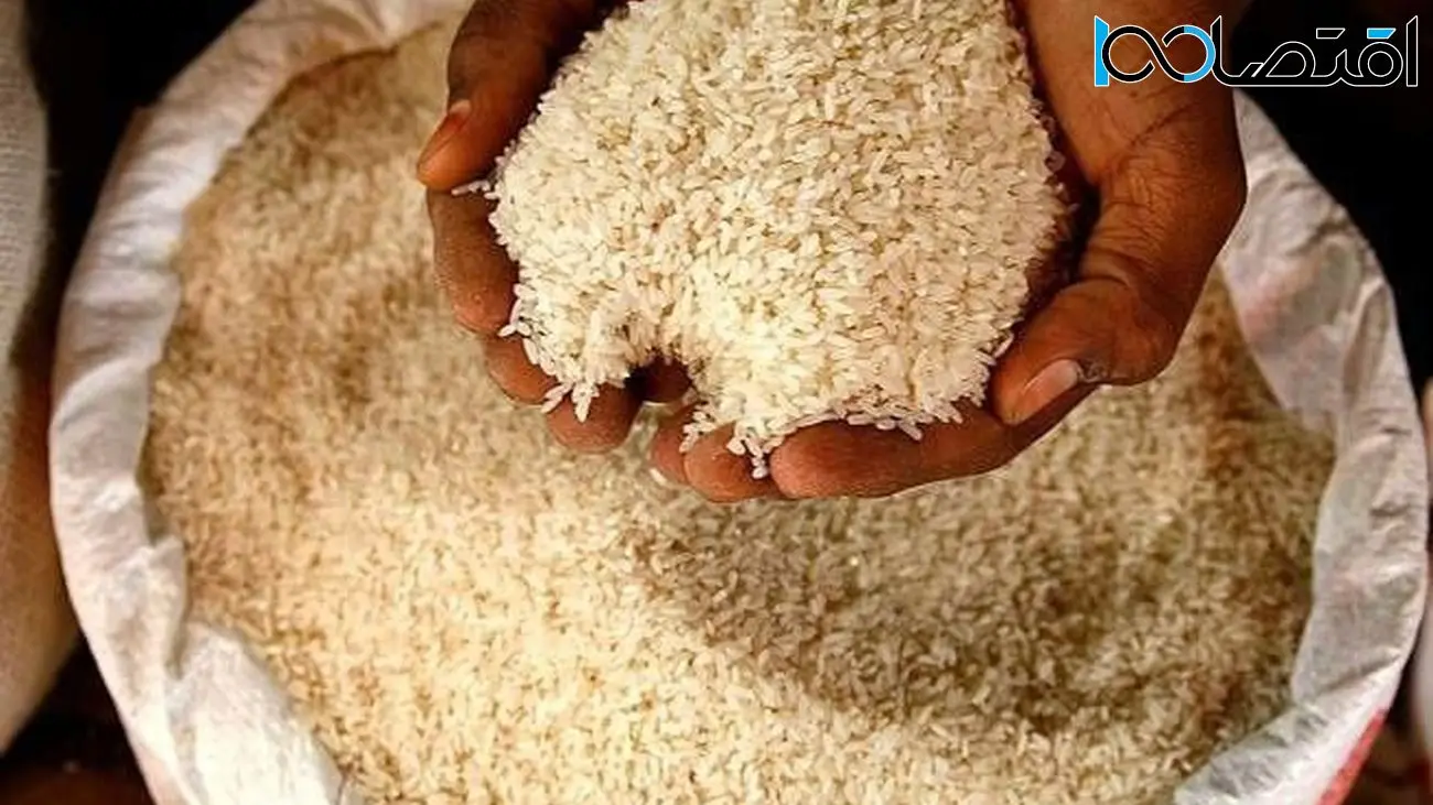 به رغم همه وعده ها برنج چقدر گران شد؟
