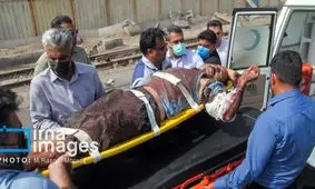 ۴ فوتی آخرین آمار فوتی ها در پی انفجار در بندر رجایی