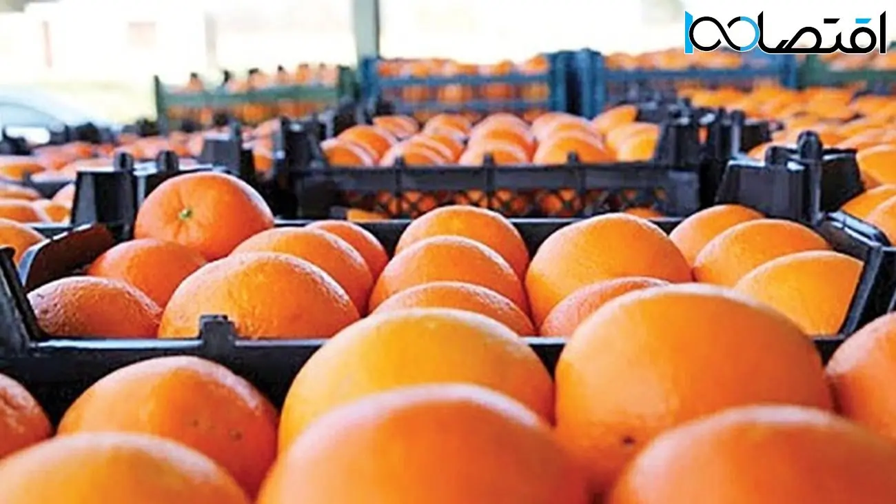 خبر جدید درباره قیمت میوه در شب عید / مطئول تنظیم بازار هم مشخص شد !