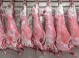 تقلب در بازار گوشت / فروش گوشت بز به اسم گوشت قرمز ارزان!