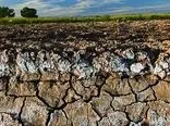 کاهش مصرف آب کشاورزی تحقق نیافته است