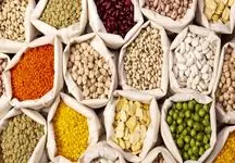 کاهش حیرت‌انگیز قیمت حبوبات در اردیبهشت! لوبیا چیتی و عدس با قیمت جدید روانه بازار شدند