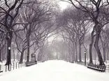 10  لحظه شگفت‌انگیز زمستانی + فیلم